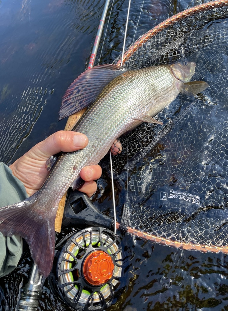Tenolla saa ja voi kalastaa! Kalastushankkeen käynnistystilaisuus